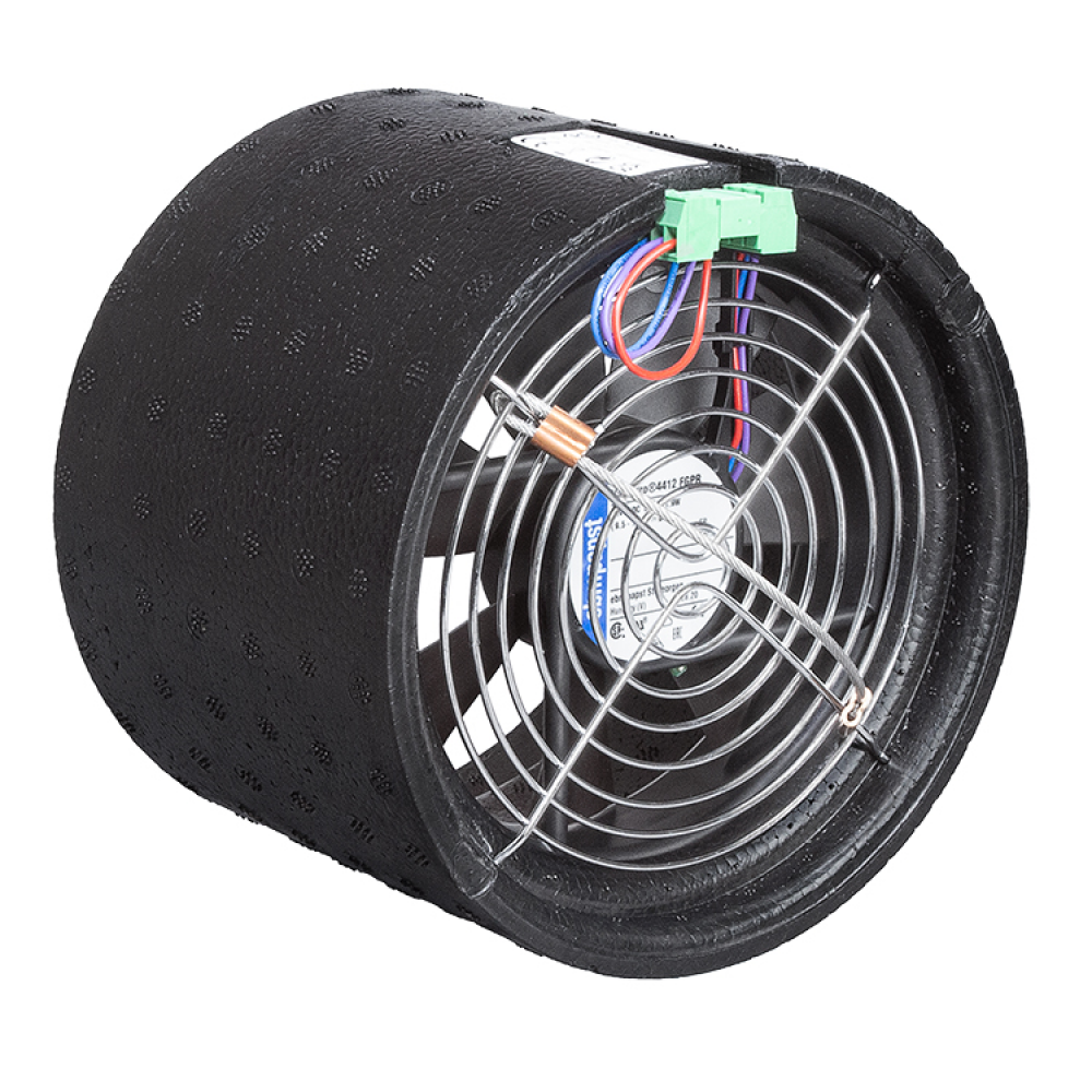 fan